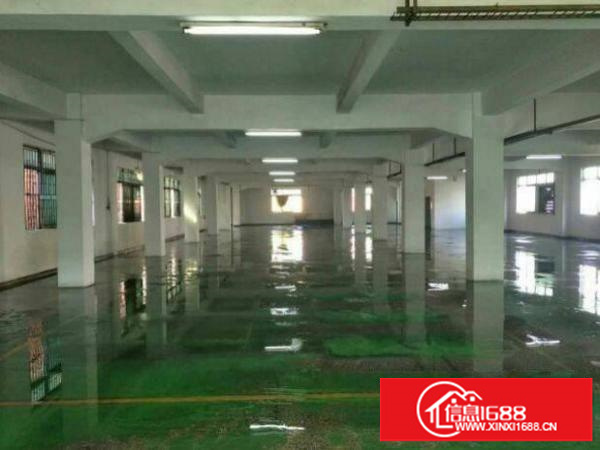 出租坪山新区三洋湖楼上带装修厂房1100平米