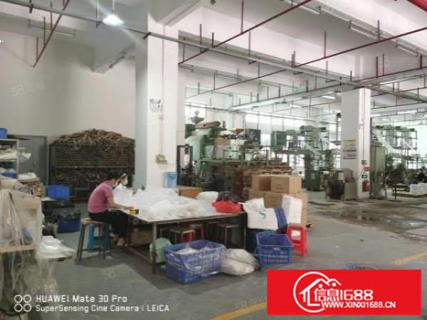 梅观高速口工业园2500首层6米高300平分租整租