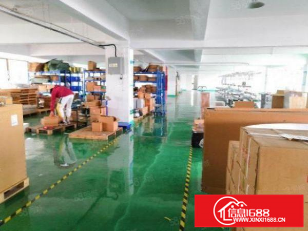 可办环评，均安镇1000方标准带装修厂房，有办公，水电齐全