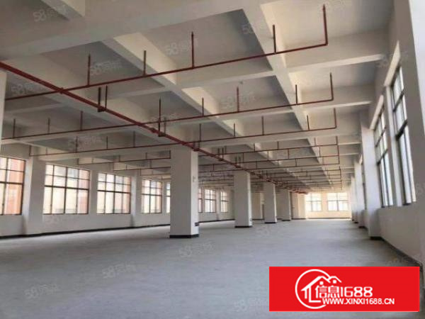 全新国道边独栋带喷淋消防标准厂房