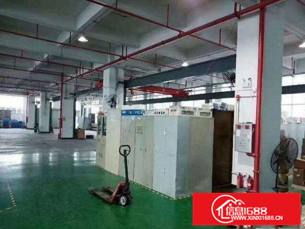 大岭山镇空出独院标准三层4000平方原房东厂房直租可分租