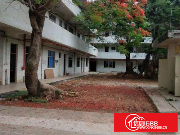 凤岗独院钢构厂房7000平方（可分租）