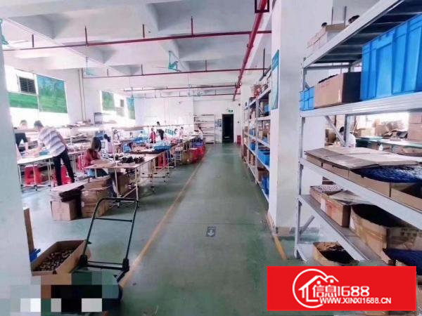 凤岗金凤凰楼上整层1350平招租带消防喷淋水电装修