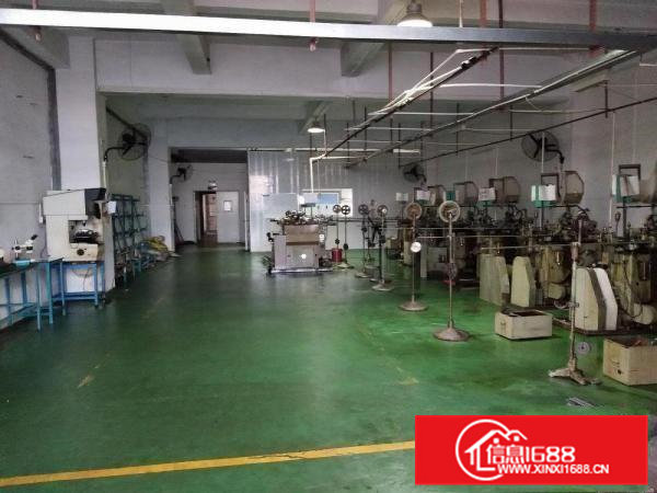 常平高新科技园厂房出租，300平方水电装修齐全带豪华办公室