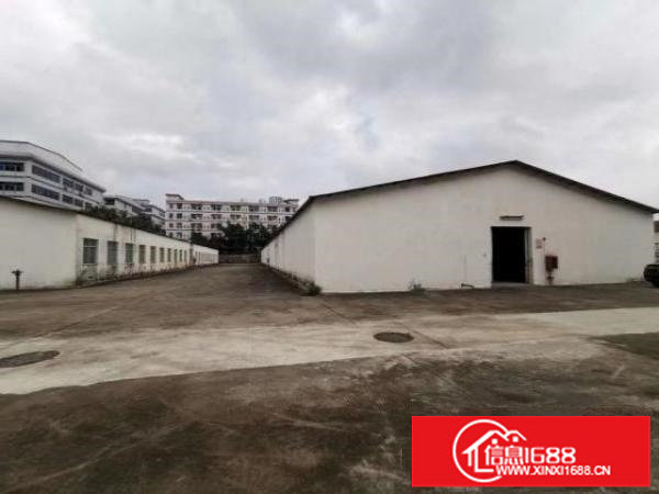 丹竹头一楼300-1000平仓库招租