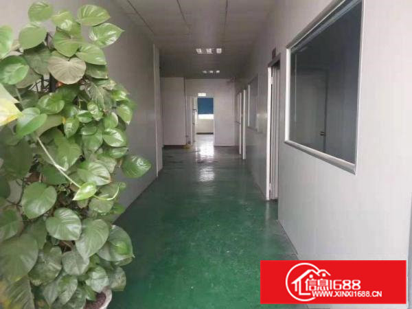 黄江镇独院三楼带精装修与办公一层1000平方出租