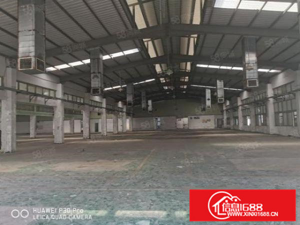 清溪带物流厂房5万平方出租，可分租
