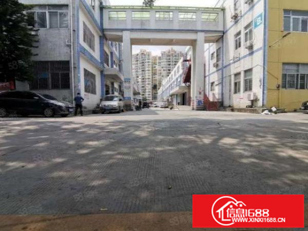 坂田上雪工业园楼上482平厂房出租精装修空地大