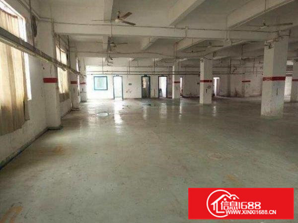 桥头岗头独院厂房2600平