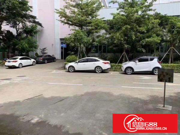 坪山六联新出原房东一楼1350平厂房出租层高9米