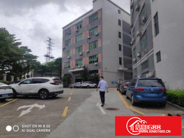 龙华大浪花园式园区180~1500平厂房仓库出租原房东