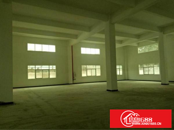 惠州新圩全新独院分租一楼600平米