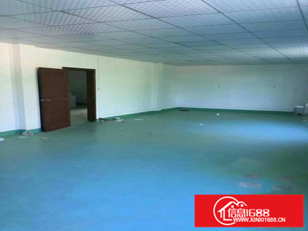 秋长一楼厂4500平米出租