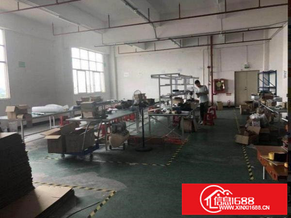 横岗228工业园新出楼上430平精装修厂房招租