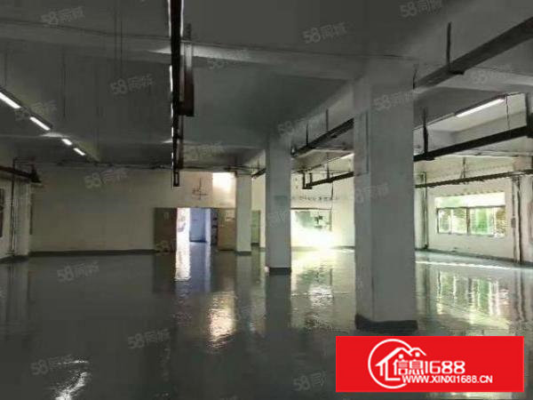 樟木头标准一楼800平方带全新地板漆厂房出租