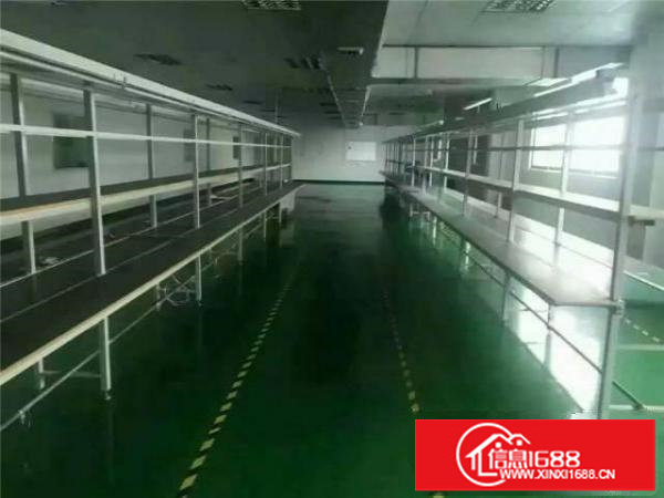 坪山碧岭楼上无公摊450平方厂房急租