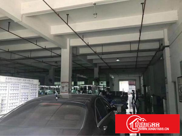 观澜新出原房东厂房，12656平方独栋