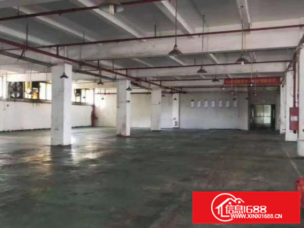 光明蒋石三层独门独院4600平方米招租