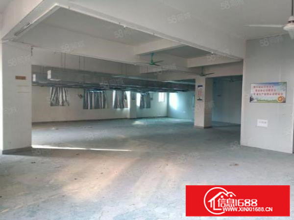 大岭山新空楼上原房东带装修办公室400平方厂房出租