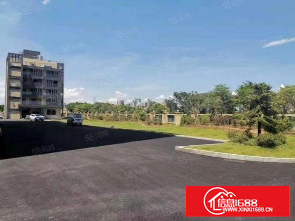 长安上沙楼上14000平整层工业园红本厂房出租仓库出租可分