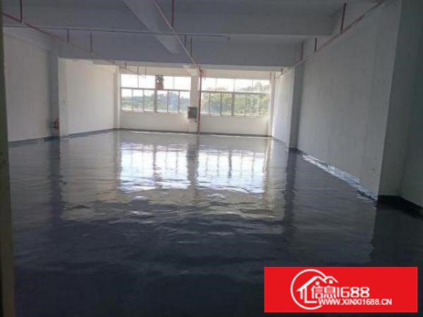 布吉早禾坑新出1900平厂房出租，大小可分