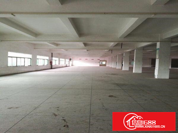 常平镇白石岗新出一楼1800平米标准厂房出租