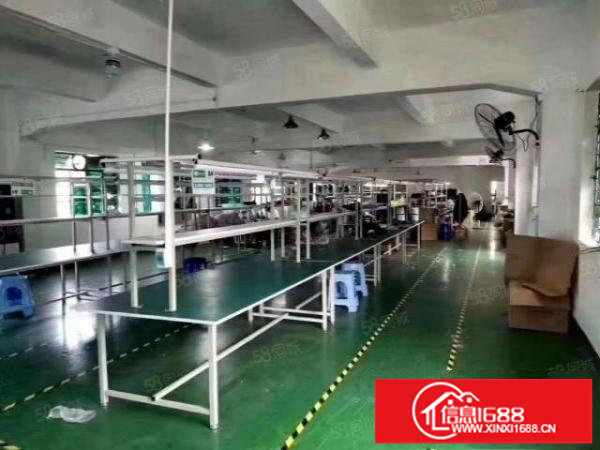 出租龙华大浪新百丽附近新出楼上2000平精无公摊厂房出租.