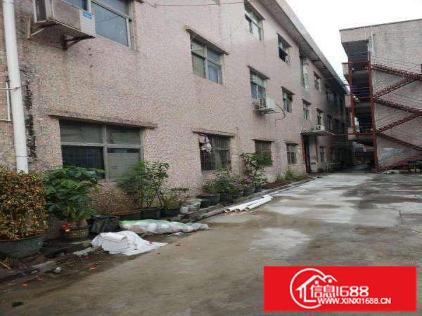 村委横岗安良带电梯厂房出租价格便宜（有意者电话联系）