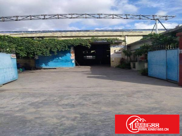 约场原房东独门独院厂房1200平方