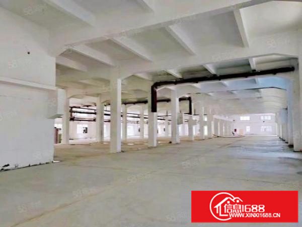 安良工业园新出一楼620平厂房仓库出租，可进大车