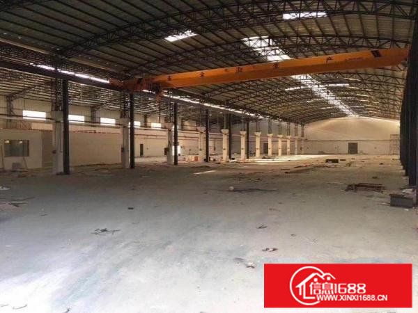 清溪中心区钢构厂房2400平米滴水8米