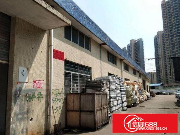 平湖小面积500平米至800平米带装修招租