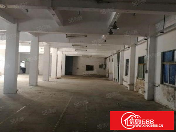 深圳观澜新出独院厂房出租！位置优越，价格低，户型方正大小可分