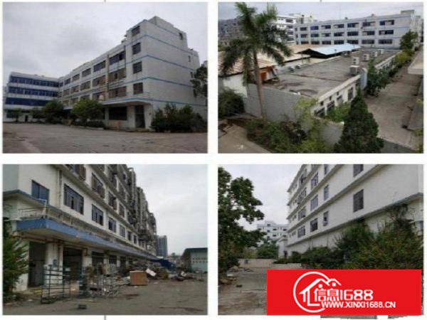 横岗红本厂房30000平物业直租，大小分租