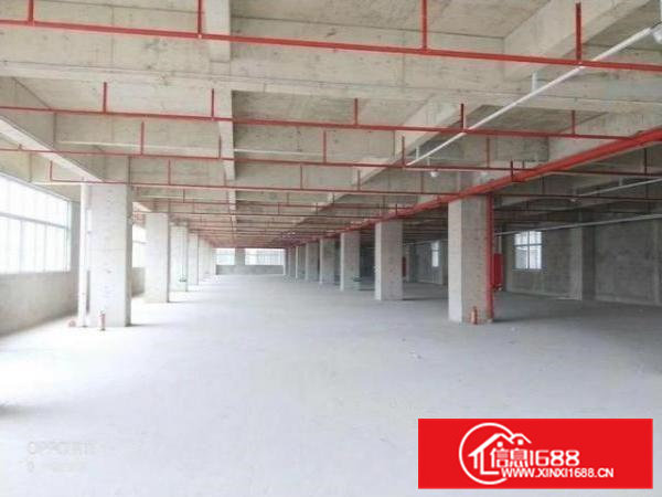 大岭山杨屋村原房东全新独院厂房7500平米