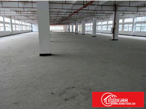 常平桥梓村标准厂房一楼4200平出租水电齐全空地大交通方便