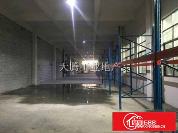 大良凤翔首层1000方高6.5米电100千瓦