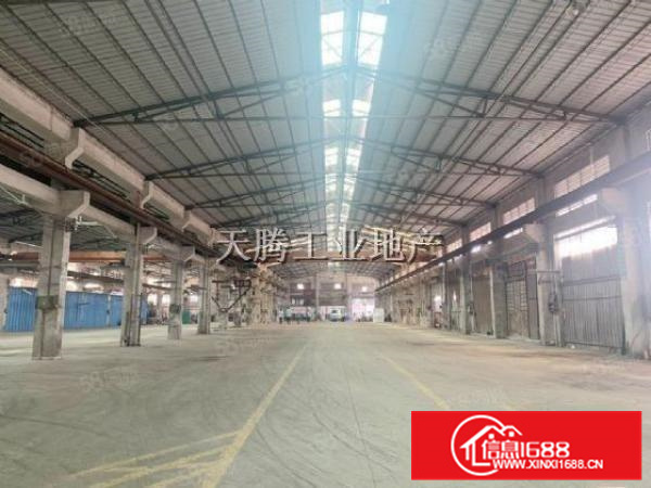 大良火爆招租！独门独院13000方;13米高