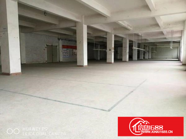 横岗新出独院厂房6500