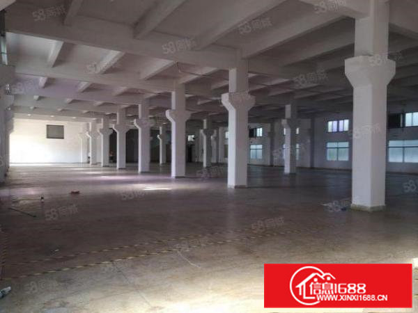 桥头镇大洲村原房东独院8000平园区空地大可分租