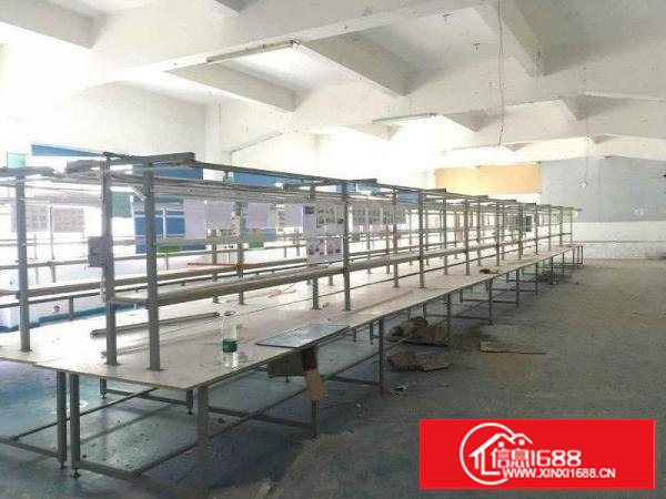 新盘：沙湖精装修的5600平方米标准独院厂房招租