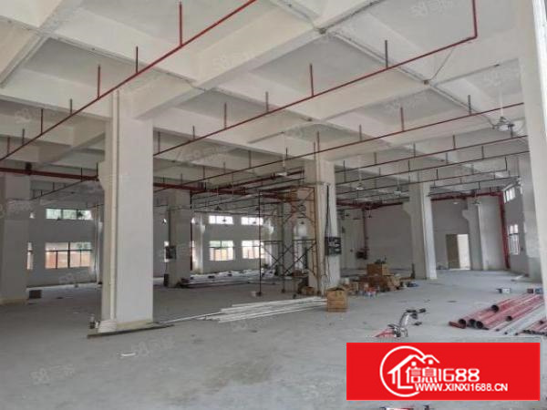 寮步镇新建原房东独院厂房出租工业用地可办坏评空地大