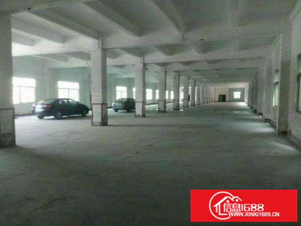 出租龙岗区横岗15000平米独院500平米起分租