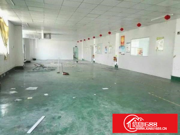 坪山碧岭新出1180平楼上整层标准厂房低价出租