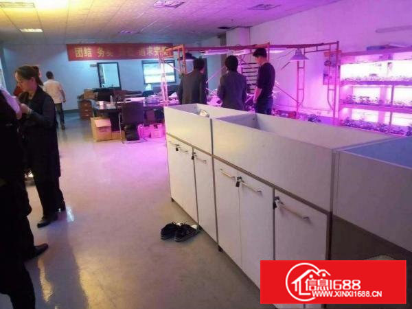 精装修，虎门南栅新出楼上厂房1800平