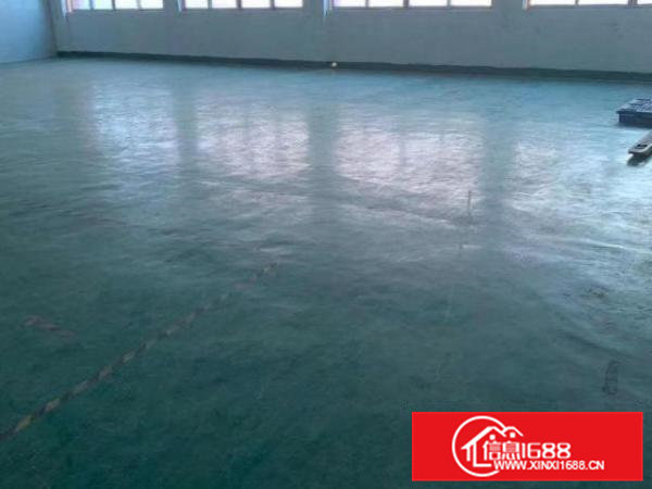 出租清溪银湖工业区360平方标准厂房水电齐全价格美丽