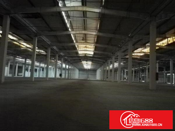 坪山新出15000平大型物流园租20元5年合同