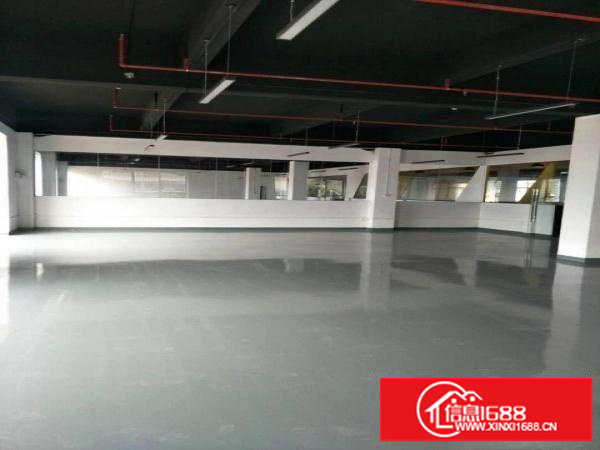 横岗新出带装修写字楼280平出租