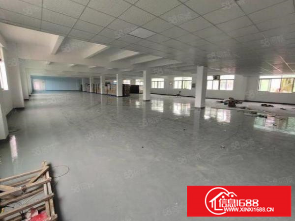 公明玉律新出厂房1500平米精装厂房低价出租价格实惠