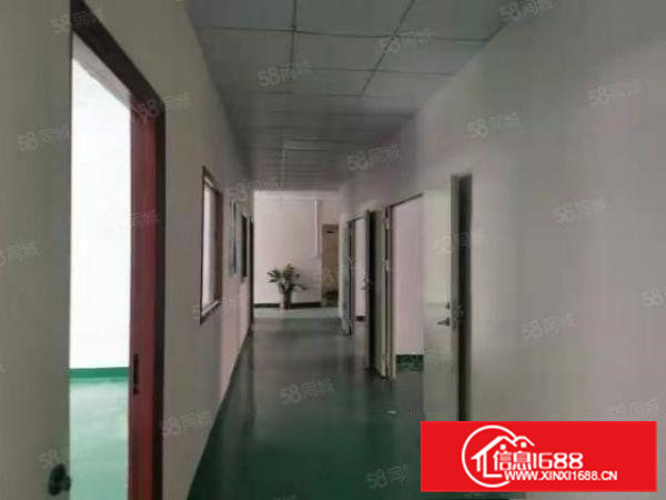 大岭山新出经典小独院厂房2362平米低价出租。